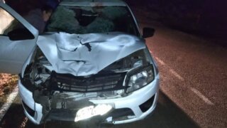 По вине пьяного водителя на Кубани погибли велосипедист и его пассажир-ребенок