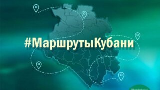 Уютные бухты и чайные плантации: уникальные места для туристов Туапсинском районе