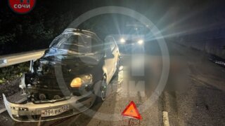 Кто виноват – водитель или лошадь: спор в Сети после ДТП в Сочи с гибелью животного