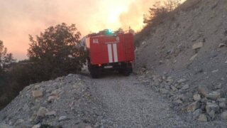 Пожар в лесу под Новороссийском, пламя охватило 800 «квадратов»