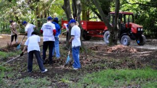 «Молодогвардейцы» и активисты Сочи поддержали экоакцию депутата ЗСК Теплякова