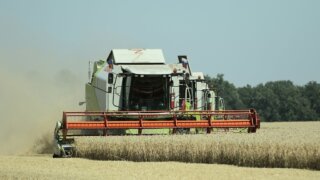 Банк активизировался и арестовал счета концерна «Покровский», оставив людей без зарплаты