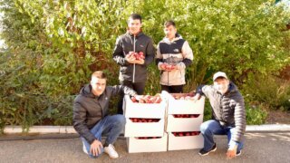 Депутат ЗСК Толстопятов порадовал детей-сирот свежими фруктами