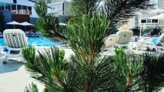 Выберут ли туристы курорты Кубани на праздники в ноябре – рассказали в АТОР