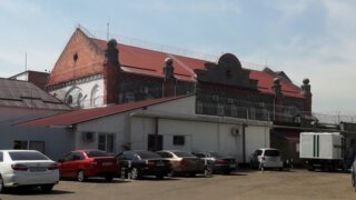 Житель Кубани получил реальный срок за убийство породистого кота