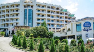 Стало известно, о чем глава Сочи говорил с зампредом Правительства РФ Дмитрием Чернышенко