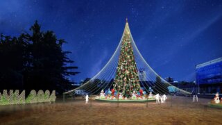 Ель из мандаринов и герои мультфильмов: стало известно, как украсят Сочи в новогодние праздники