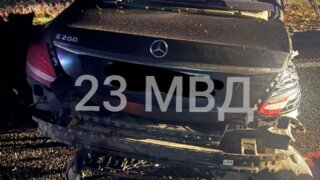 Массовое ДТП с погибшими произошло на Кубани из-за вышедшей на дорогу коровы