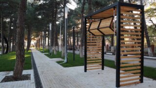 В Кабардинке благоустроили сквер и высадили 120 хвойных растений