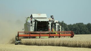 Аграрии Краснодара в январе-сентябре произвели и отгрузили продукции на 10 млрд рублей