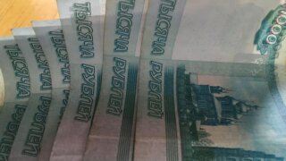 В Сочи по обвинению в получении взятки взят под стражу  замдиректора «Росзаповедцентра» 