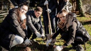 Депутат ЗСК Анна Невзорова закупила саженцы каштана