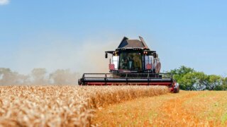 Перспективы роста