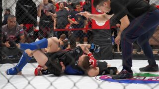 В Динском районе прошли первенство и чемпионат Кубани по смешанному боевому единоборству