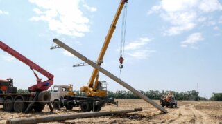 В пяти районах Кубани в 2023 году отремонтировали более 830 км ЛЭП