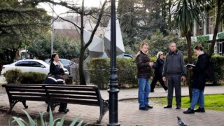 Депутат Тепляков проверил состояние деревьев в Сочи, высаженных во времена СССР