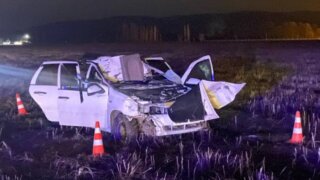 Под Майкопом один человек погиб, ещё двое оказались в больнице после ДТП с лошадью