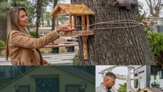 Депутат ЗСК Анна Невзорова помогла установить вендинговую кормушку для белок в Сочи