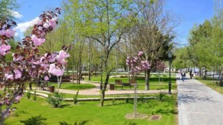 Депутат ЗСК Денис Выпринцев: Сделать свою жизнь комфортнее может каждый