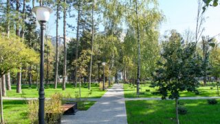Жители Краснодара выбирают сквер для благоустройства в 2025 году