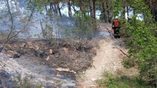 В лесу Геленджика вспыхнула сухая трава