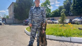 В Гулькевичском районе полицейская собака помогла отыскать потерявшегося мужчину