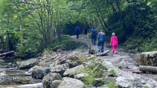 Спасатели в Сочи помогли выйти из леса заблудившейся туристке