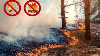 Осторожно: лесные пожары!