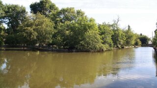 Около 2,7 млн рублей из казны Краснодара направят на аэрацию водоема в Городском Саду