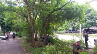 Депутат городской Думы Краснодара Роман Баранов помог сохранить «зеленую зону»