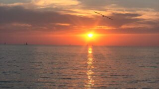 Азовское и Чёрное моря прогрелись до 21 градуса
