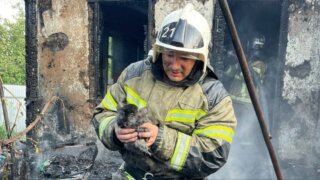 Трёх карликовых кроликов спасли пожарные из сгоревшего дома в Курганинске
