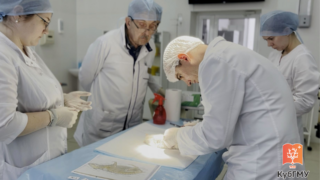 Кубанские медики с коллегами биофизиками разрабатывают уникальный аналог нерва