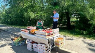 На улицах Краснодара за месяц выявили свыше 300 фактов незаконной торговли