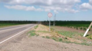 Полиция на Кубани ищет автора запрещенной нацистской символики на дорожных знаках
