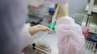 На Кубани коронавирус за неделю выявили у 133 жителей