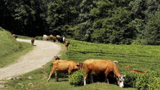 Залог успеха — в отношении к делу