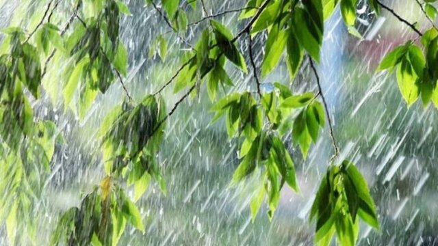 На Кубани объявлено штормовое предупреждение по ливням и граду
