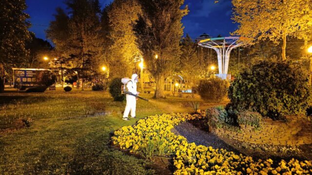 Парки Краснодара обработают от клещей в первых числах августа