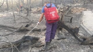 Названа вероятная причина лесного пожара под Новороссийском