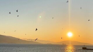 В акватории морского порта Новороссийск 1 августа пройдут учения