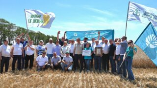 Глава Кубани рассказал о новом рекорде урожайности озимой пшеницы, занесенном в Книгу рекордов России