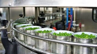 На Кубани произведено свыше полумиллиарда банок плодоовощных консервов