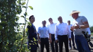 Юрий Бурлачко рассказал о поддержке садоводства на Кубани