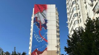 Художники из российских городов создают муралы на фасадах домов микрорайона Краснодара