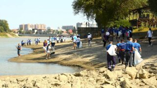 Более 500 жителей Краснодара очищали от мусора берег реки Кубани