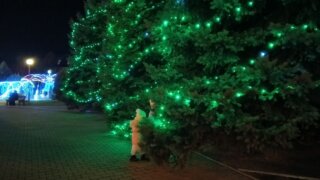 Стало известно, какие мероприятия для детей пройдут в Краснодаре на новогодних праздниках