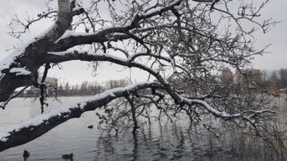 Декан медико-профилактического факультета КубГМУ Ольга Киёк рассказала, как избежать неблагоприятного влияния погоды на здоровье