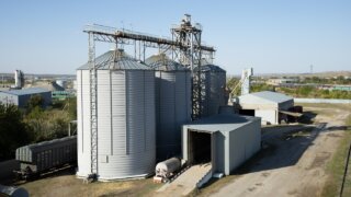 В 2025 году компания «Деметра Трейдинг» намерена направить 350 тысяч тонн зерна российским потребителям