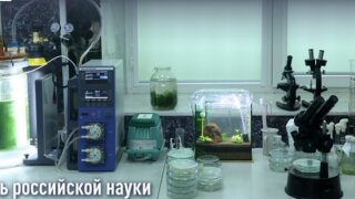 Глава Кубани и председатель ЗСК поздравили кубанских ученых с праздником